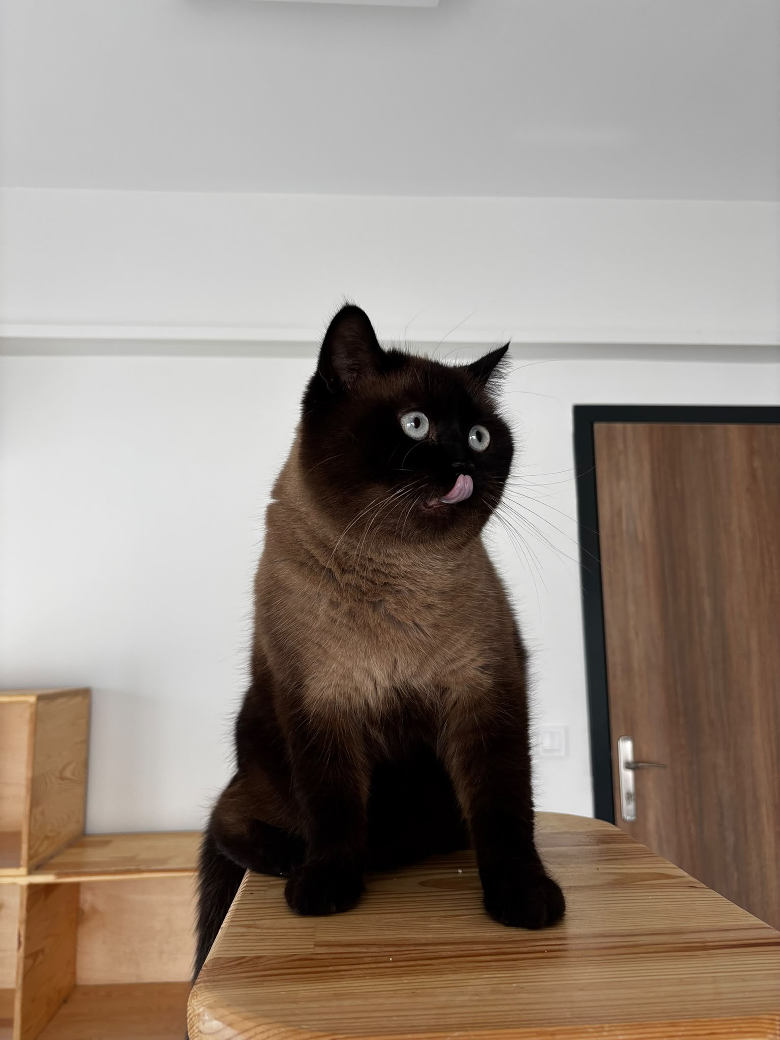Eros