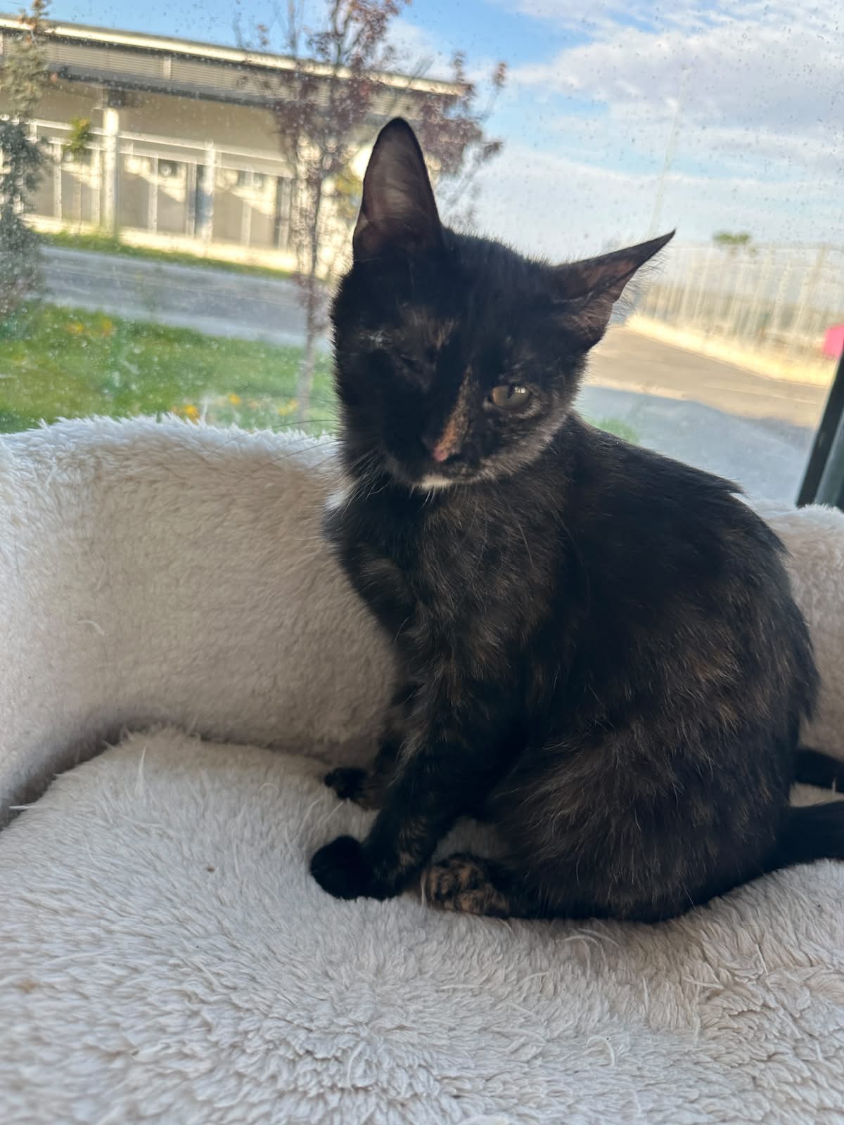 Luna